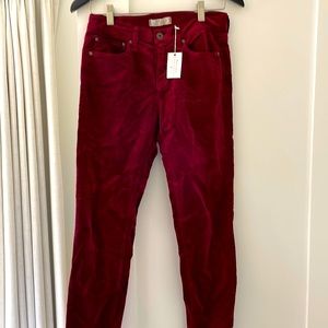 New with tags velvet holiday pants.
